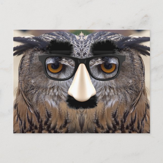 Postal Pájaro de la nariz grande (Anverso)