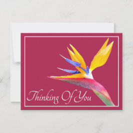 Postal Pájaro De Paraíso De Fondo Rosa Pensando En Ti