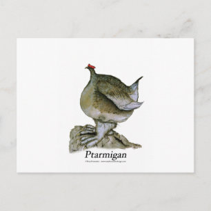 Postal Pájaro de Ptarmigan, tony fernandes