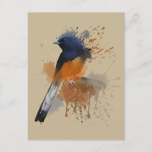 Postal Pájaro de Shama blanco rumado