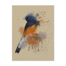 Pájaro de Shama blanco rumado