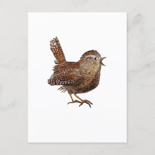 Postal Pájaro de Wren (Troglodytes Troglodytes)
