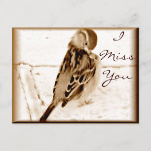 Postal Pájaro del amor_