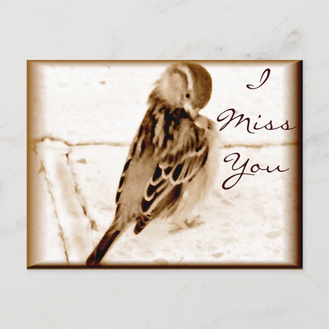 Postal Pájaro del amor_ (Anverso)