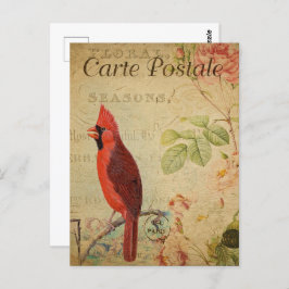 Postal Pájaro del cardenal rojo vintage