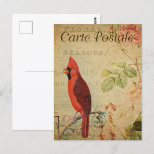 Postal Pájaro del cardenal rojo vintage