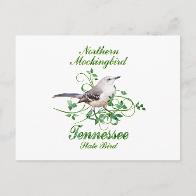 Postal Pájaro del estado de Mockingbird (Anverso)