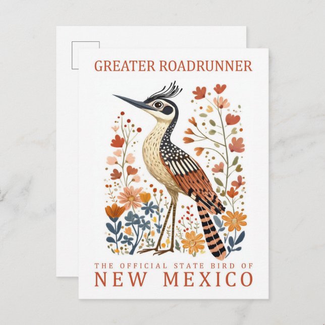 Postal Pájaro del Gran Roadrunner de Nuevo México EE.UU. (Anverso / Reverso)