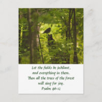 Pájaro en el bosque verde
