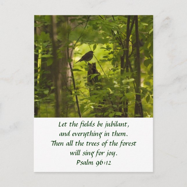 Postal Pájaro en el bosque verde (Anverso)