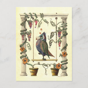 Postal Pájaro en giro