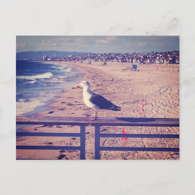 Postal Pájaro En Un Ferrocarril (Anverso)