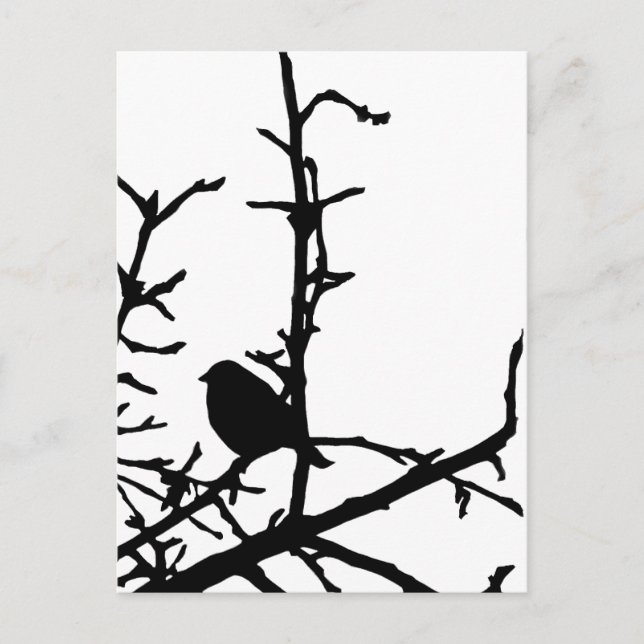 Postal Pájaro en una rama (Anverso)