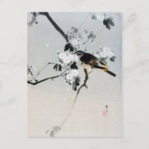 Postal Pájaro en una rama de flores de cerezo, Watanabe S