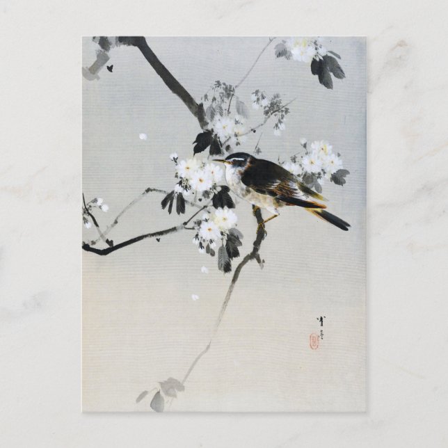 Postal Pájaro en una rama de flores de cerezo, Watanabe S (Anverso)