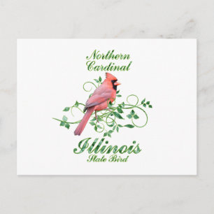 Postal Pájaro Estatal Cardinal Illinois