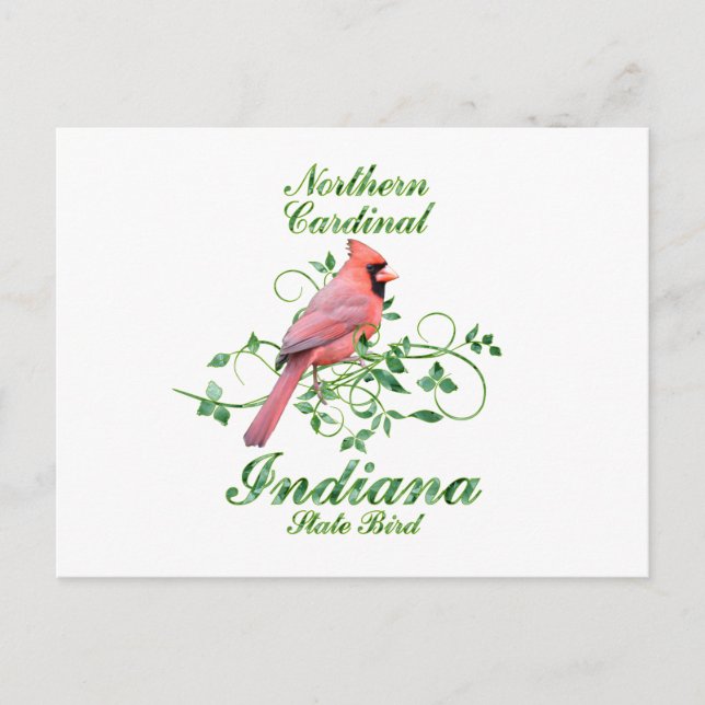 Postal Pájaro estatal Cardinal Indiana (Anverso)