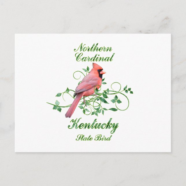 Postal Pájaro estatal Cardinal Kentucky (Anverso)