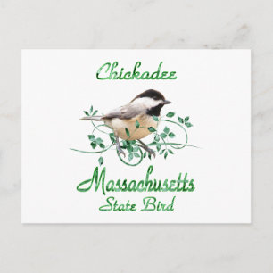 Postal Pájaro estatal de Chickadee Massachusetts