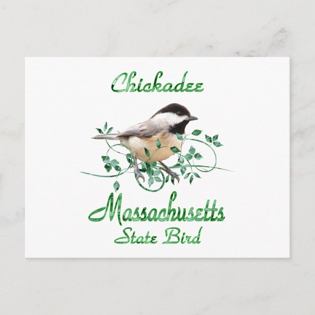 Postal Pájaro estatal de Chickadee Massachusetts (Anverso)
