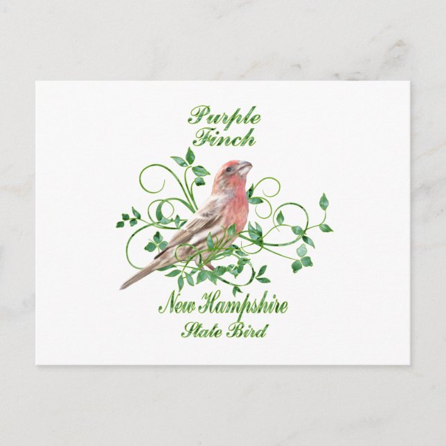 Postal Pájaro estatal Purple Finch New Hampshire (Anverso)