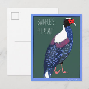 Postal Pájaro -- Faisán de Swinhoe