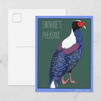 Postal Pájaro -- Faisán de Swinhoe