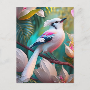 Postal Pájaro Fantasía de Cresta Blanca y Pecho Rosado