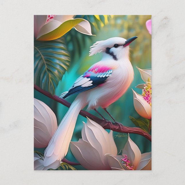 Postal Pájaro Fantasía de Cresta Blanca y Pecho Rosado (Anverso)