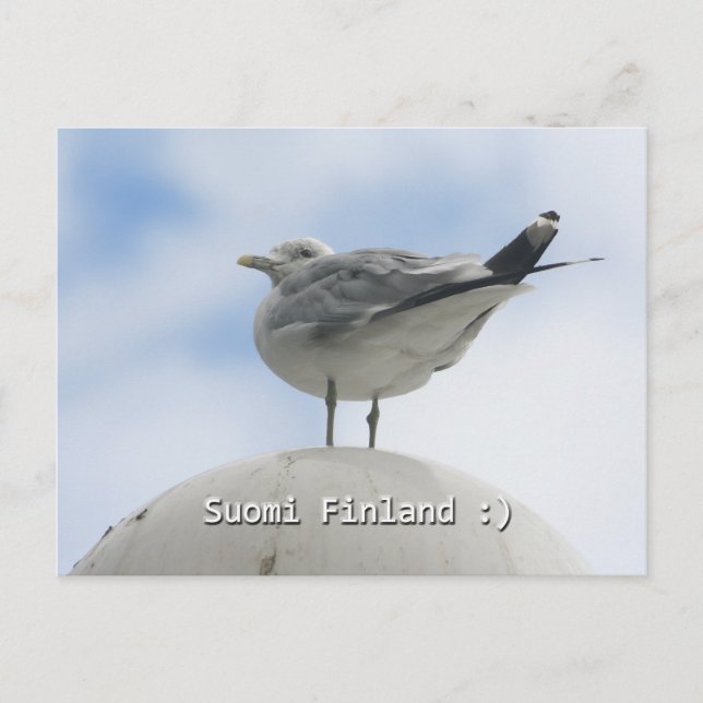 Postal Pájaro feliz (Anverso)