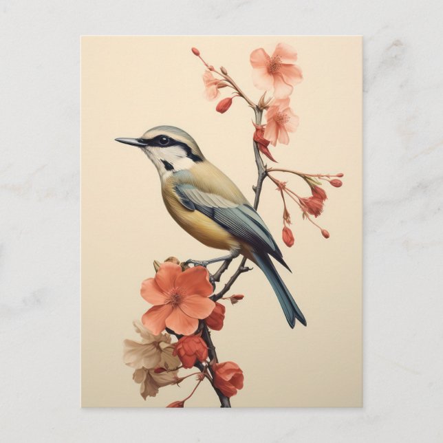 Postal Pájaro Mañanero Japonés (Anverso)