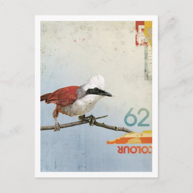 Postal Pájaro Nº 3 (Anverso)
