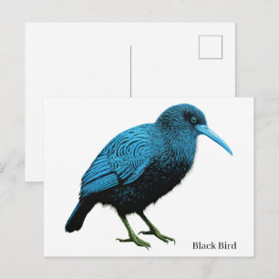 Postal Pájaro negro
