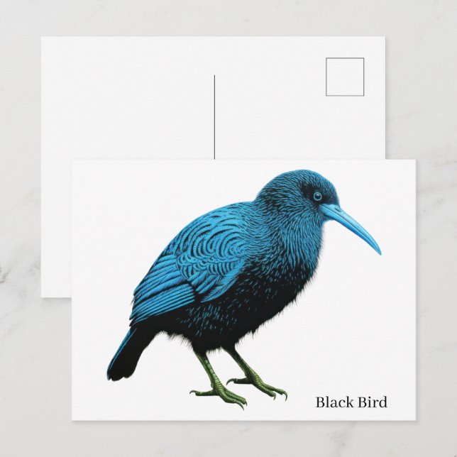 Postal Pájaro negro    (Anverso / Reverso)