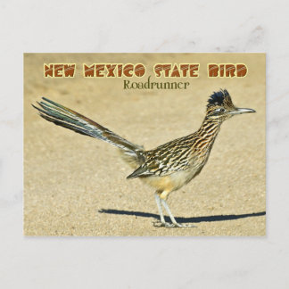 Postal Pájaro Nuevo Estado de México: Roadrunner