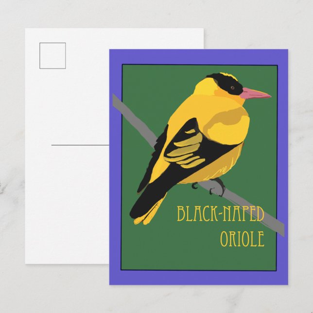 Postal Pájaro - Oriol de nuca negra (Anverso / Reverso)