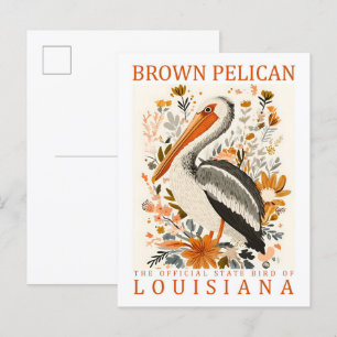 Postal Pájaro pelicano marrón de Louisiana USA Travel