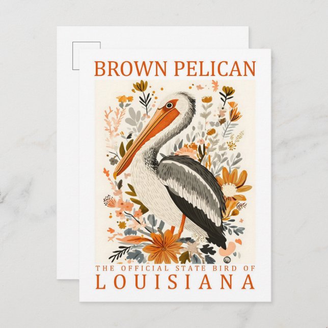 Postal Pájaro pelicano marrón de Louisiana USA Travel (Anverso / Reverso)