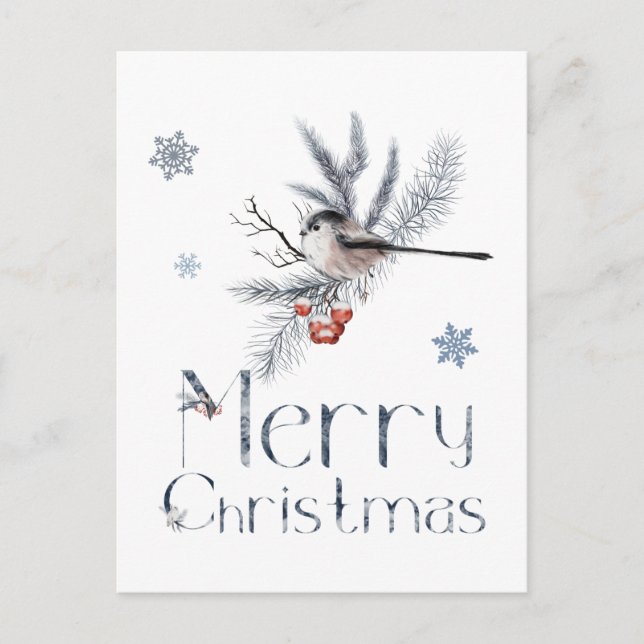 Postal Pájaro Pequeño Adorable Posado En Una Rama De Pino (Anverso)