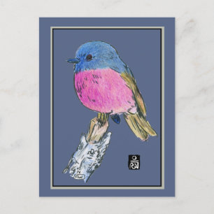 Postal Pájaro pequeño color Robin rosa