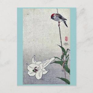 Postal Pájaro pequeño en la planta de lirio de Baison, Uk