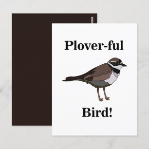 Postal Pájaro Plover Divertida Naturaleza Vida Silvestre