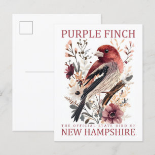 Postal Pájaro Purple Finch de New Hampshire USA Travel