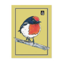 Pájaro Robin de borde rojo