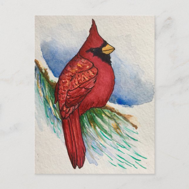 Postal Pájaro rojo del cardenal norte (Anverso)
