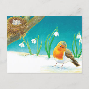 Postal Pájaro rojo Robin y Ilustracion de nevadas