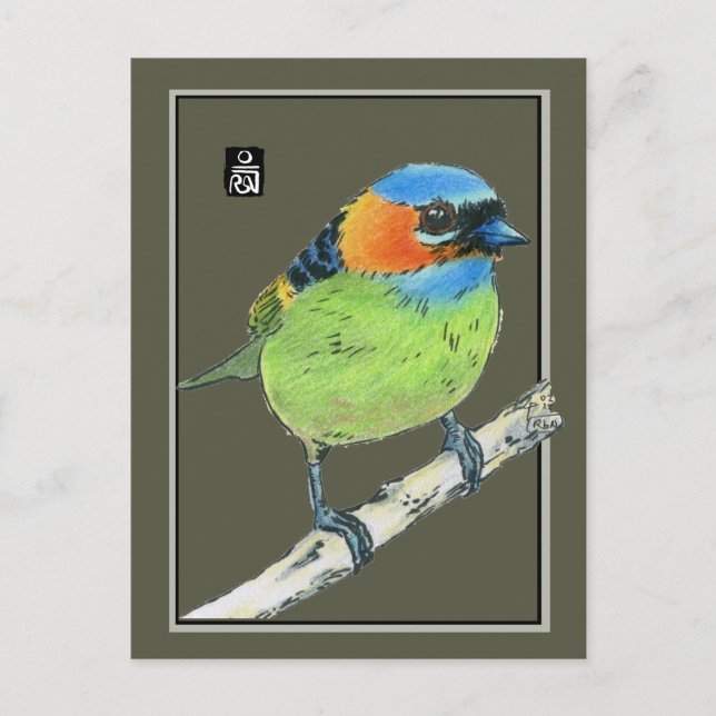 Postal Pájaro Tanager de Cuello Rojo (Anverso)