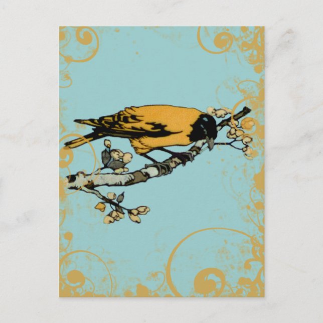 Postal Pájaro Verde azulado azul y amarillo dorado (Anverso)