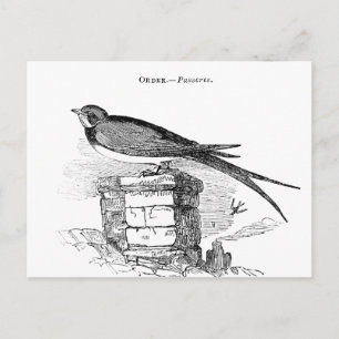 Postal Pájaro vintage