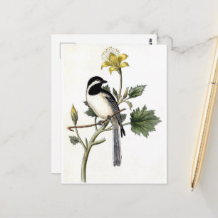 Postal Pájaro vintage y una flor amarilla